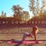 beginner-yoga-easy-morning-yoga-for-a-positive-mind
