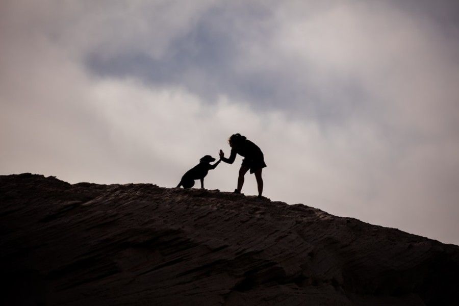 silhouette-of-person-and-dog-on-hill-during-daytime