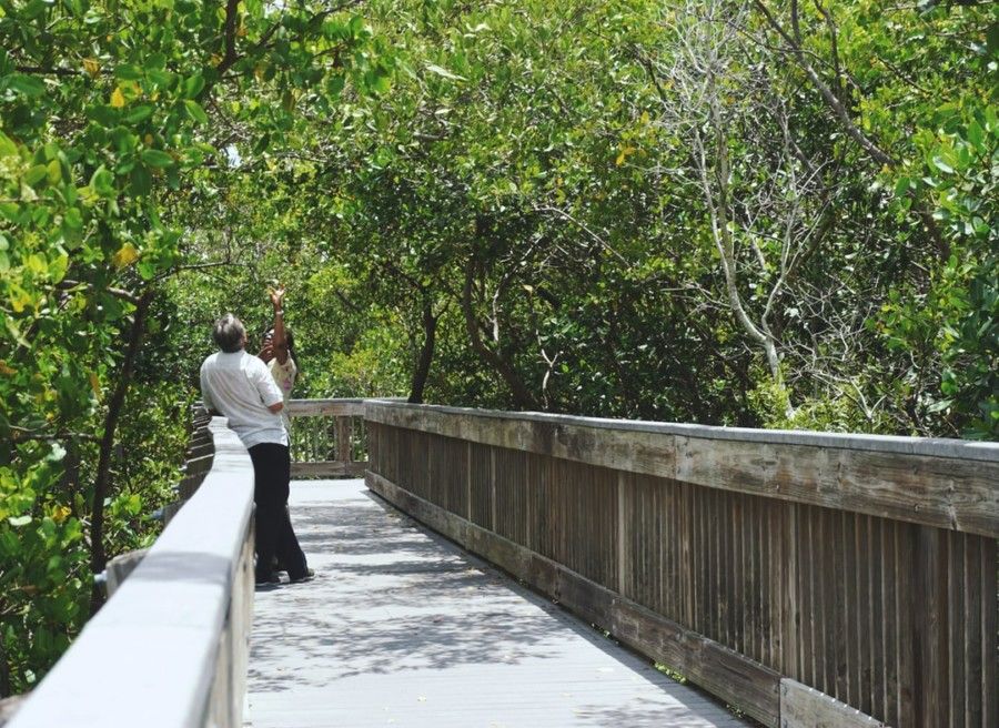 man-wearing-white-shirt-standing-in-bridge-during-daytime