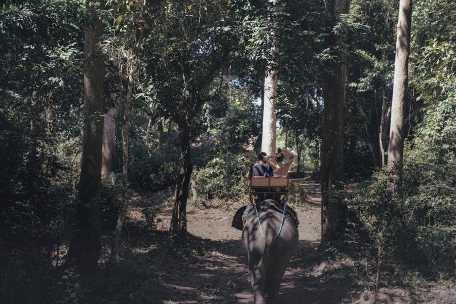 two-person-riding-elephant-on-forest