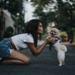 woman-petting-pomeranian-dog