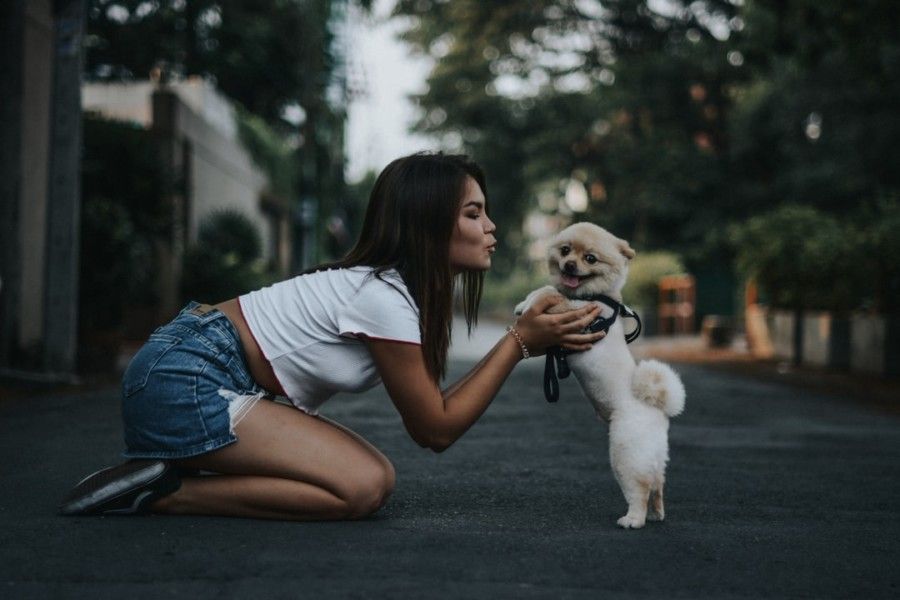 woman-petting-pomeranian-dog